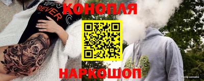 прущие грибы Ачхой-Мартан