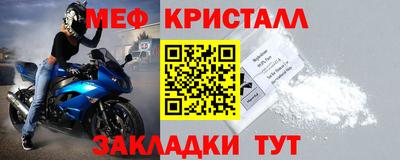 прущие грибы Ачхой-Мартан