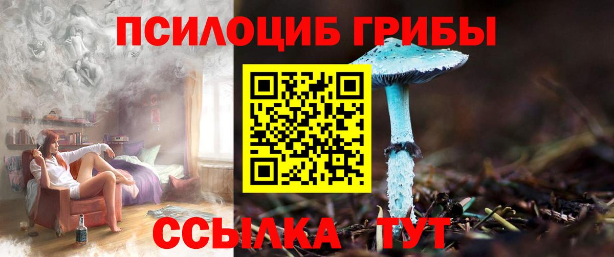 Галлюциногенные грибы мухоморы Будённовск