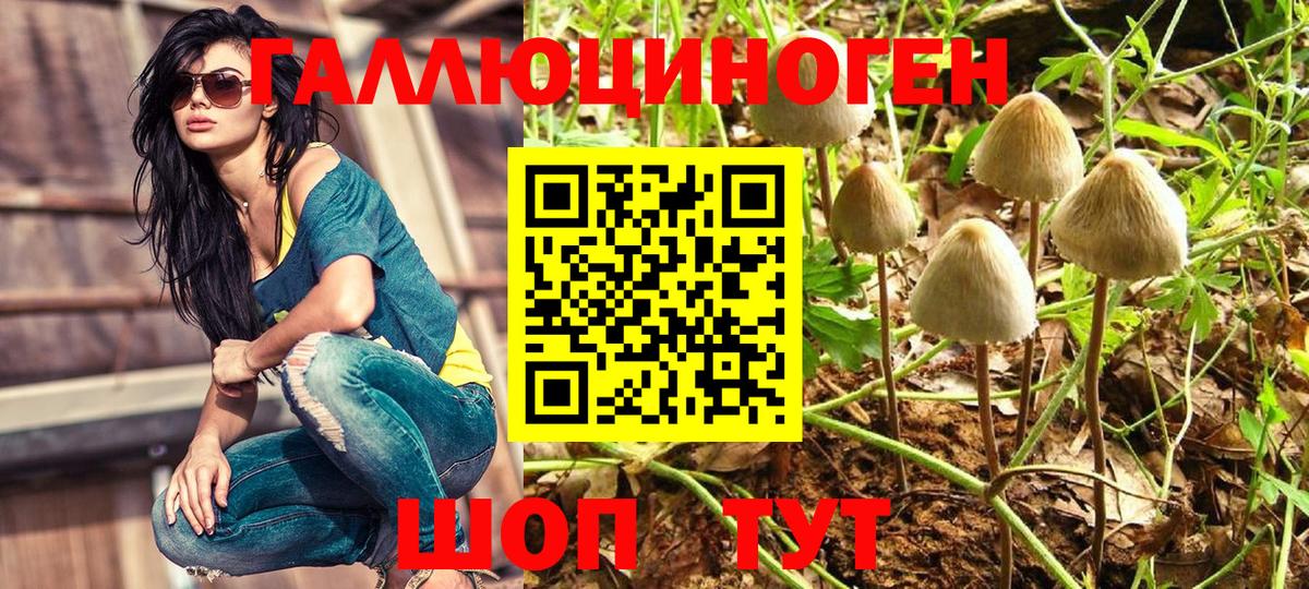 Псилоцибиновые грибы Magic Shrooms  Вход с VPN  Псилоцибиновые грибы мухоморы  Будённовск 